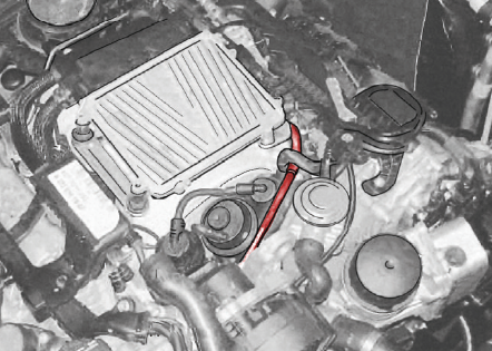 Motorraum W211 mit Leitung der Motorentlüftung (hervorgehoben)