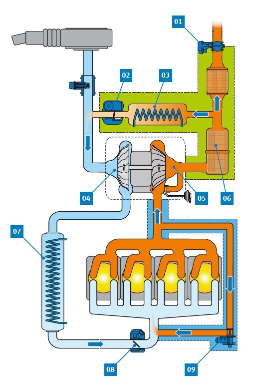 Recirculación de los gases de escape (esquemática) | Pierburg | Motorservice