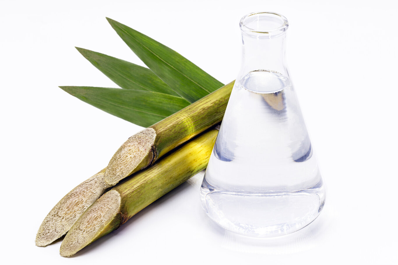 Ethanol fuel 
