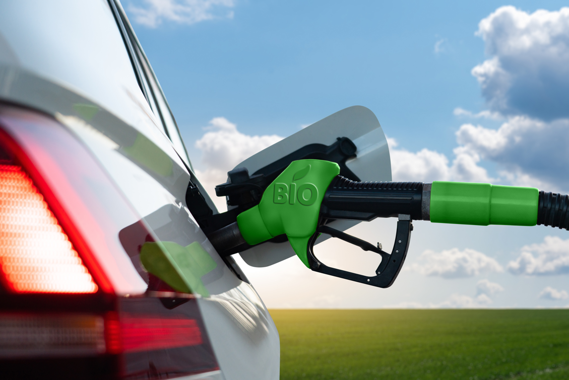Flex fuel engines