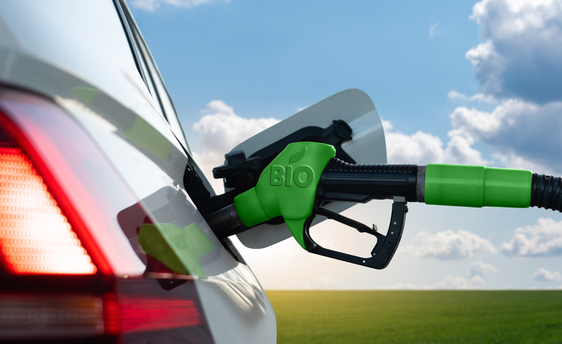Flex fuel engines