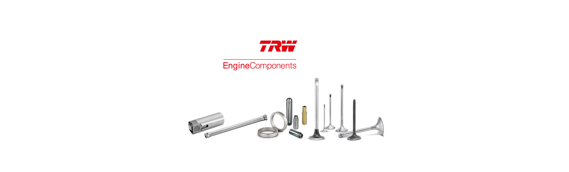TRW Engine Components | Motorservice