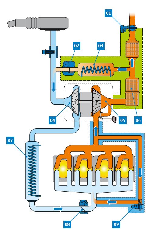Egzoz gazı resirkülasyonu (şematik) | Pierburg | Motorservice